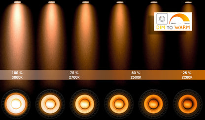Plafondspot Xirax | LED Dim to warm | Wit Metaal