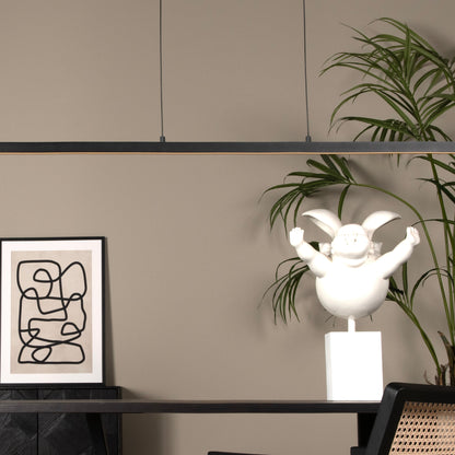 Hanglamp Sigma | 36 Watt