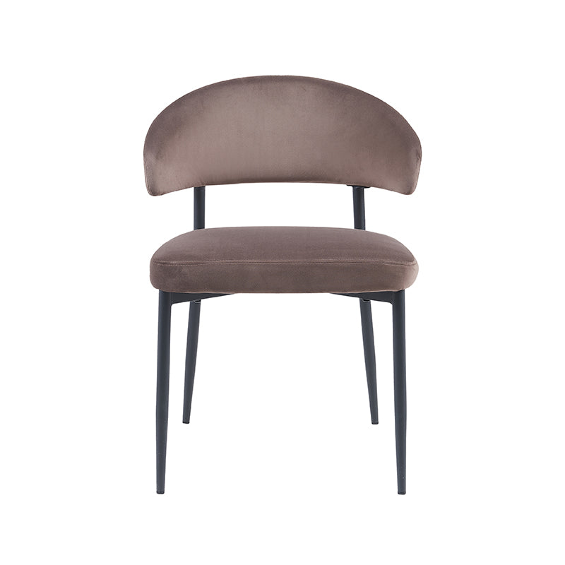 Eetkamerstoel Bliss | Taupe Velvet — Achteraanzicht - witfoto