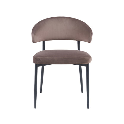 Eetkamerstoel Bliss | Taupe Velvet — Achteraanzicht - witfoto