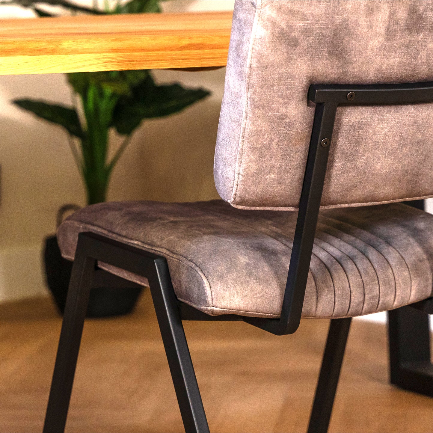 Eetkamerstoel Savio | Goldy Clay