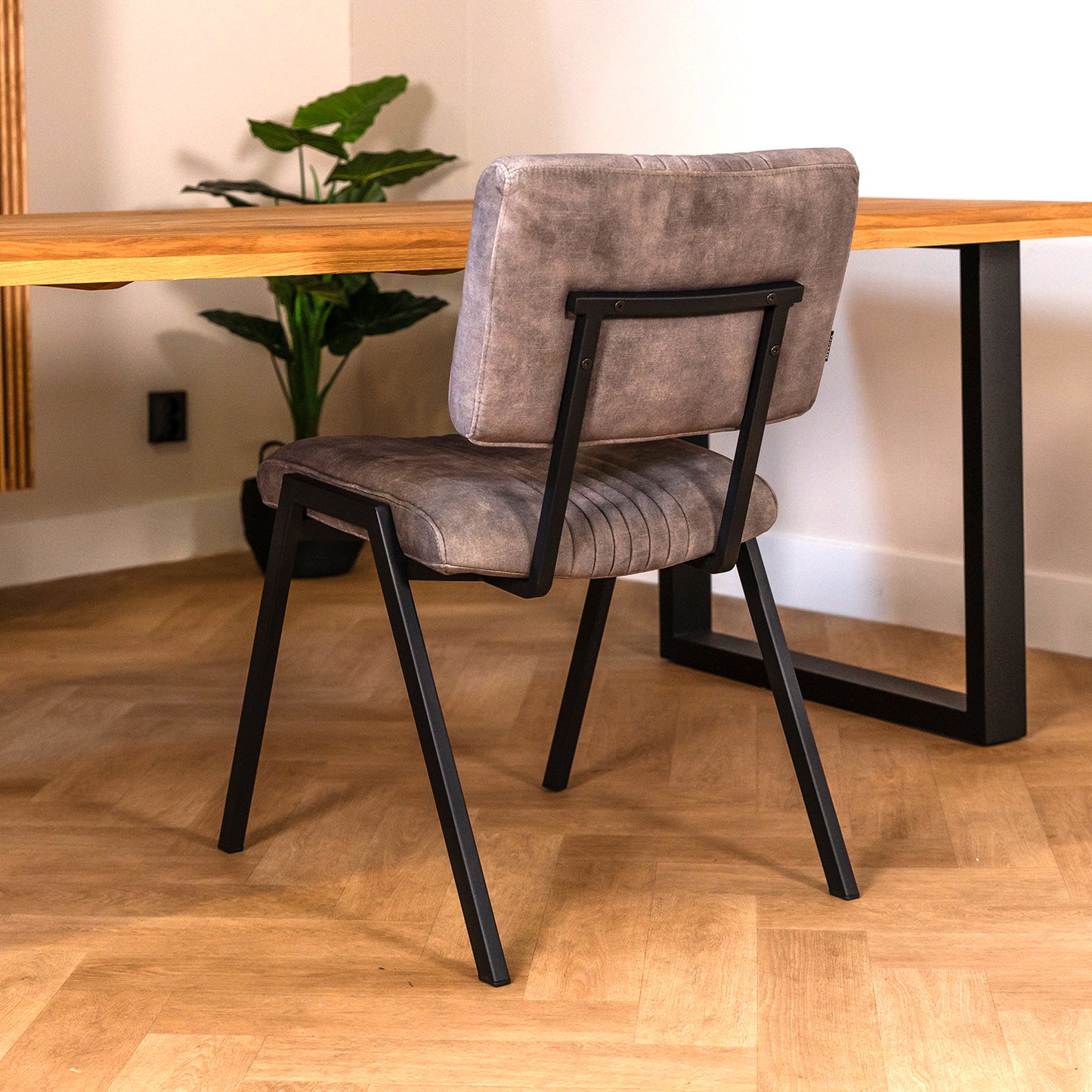 Eetkamerstoel Savio | Goldy Clay