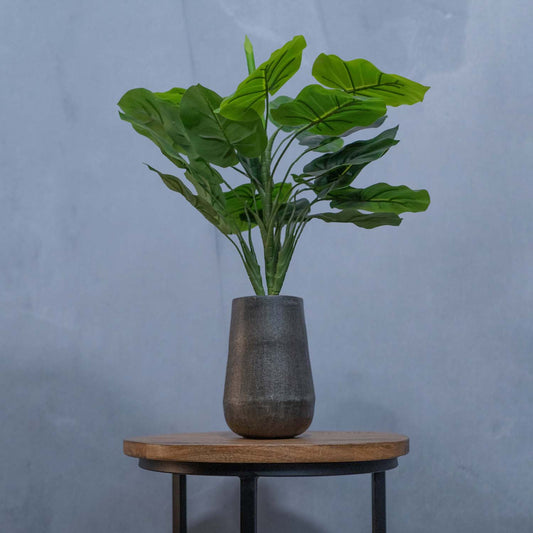 Vaas Givron | Mat Zwart