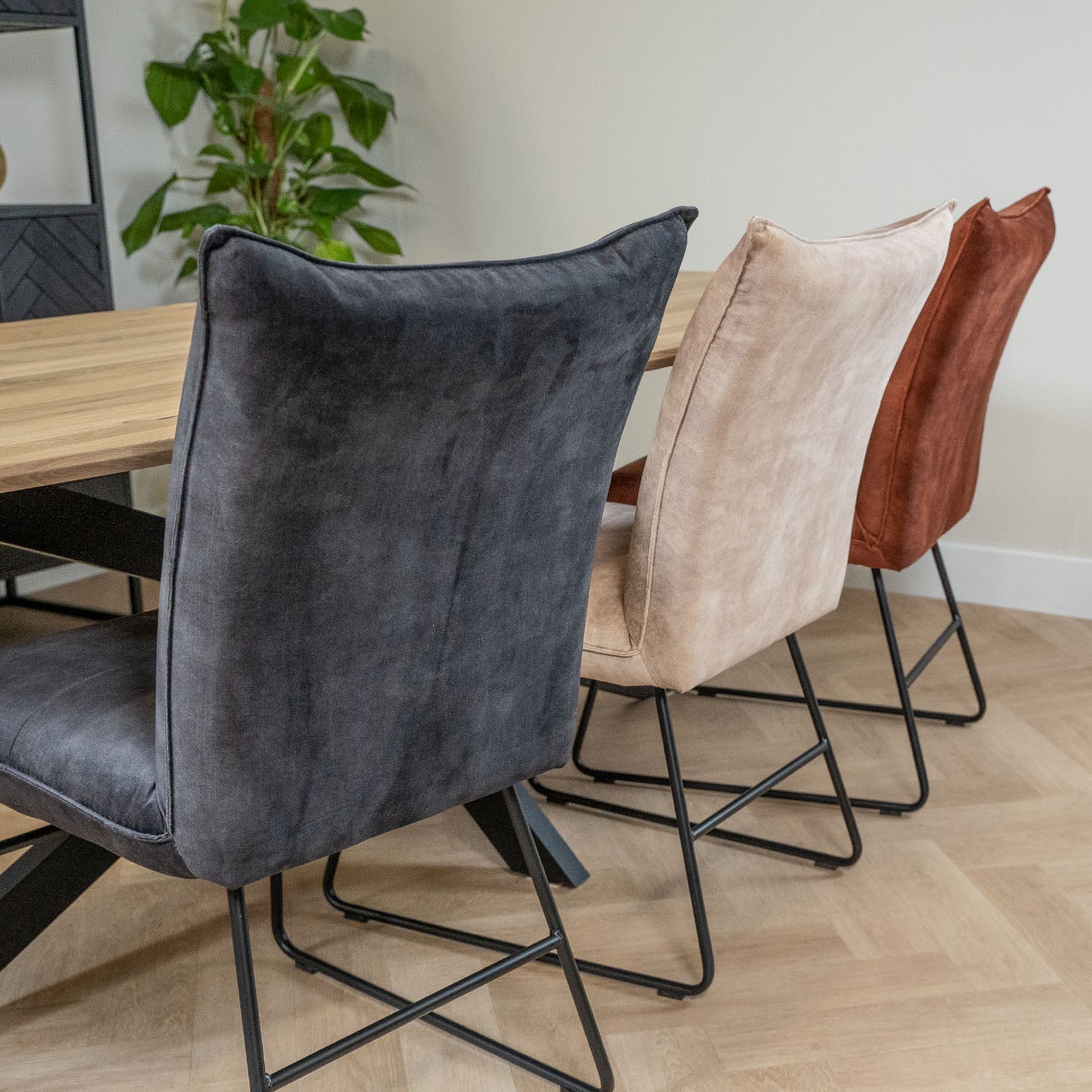 eetkamerstoelen ivo adore