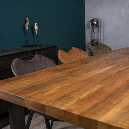 Eetkamerstoel Jim Antraciet