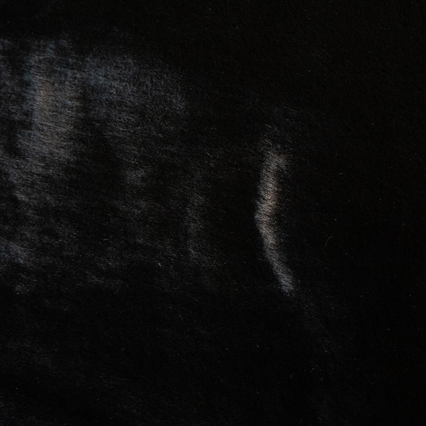 Vloerkleed_Plush_Zwart_2