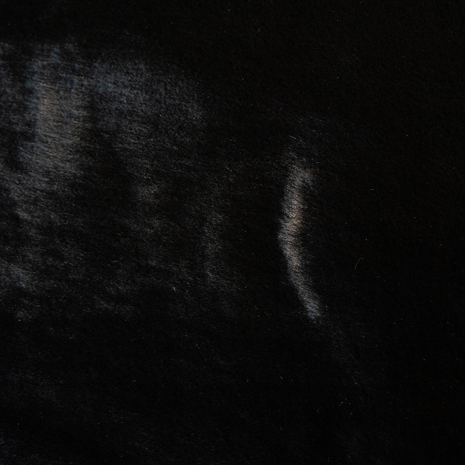 Vloerkleed_Plush_Zwart_2